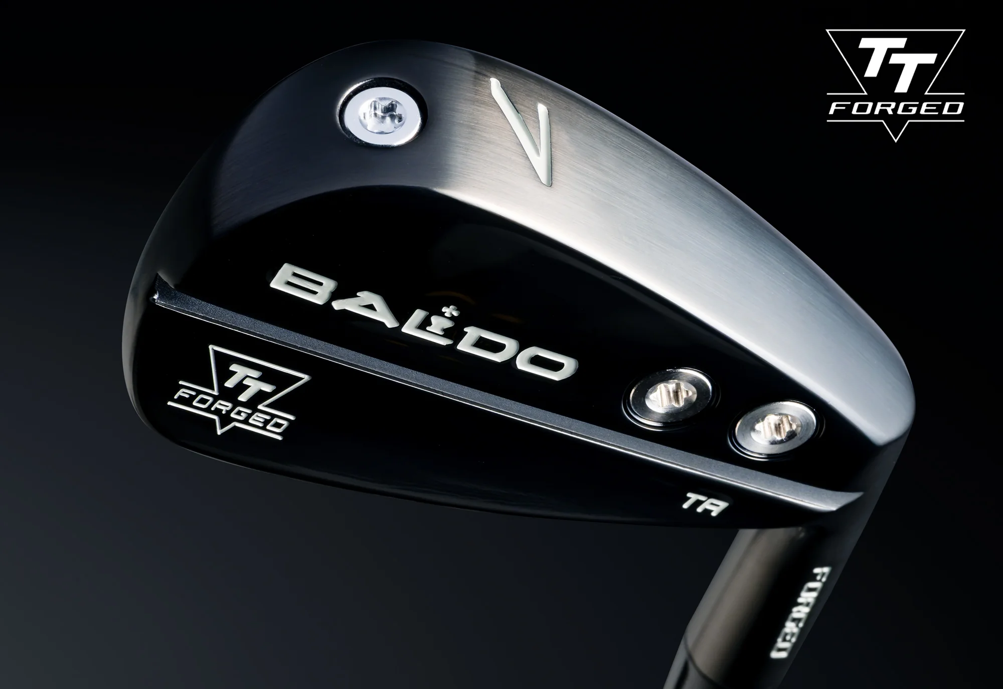 BALDO TT FORGED TOUR AIR IRON TA SET バルド - 画像 (2)
