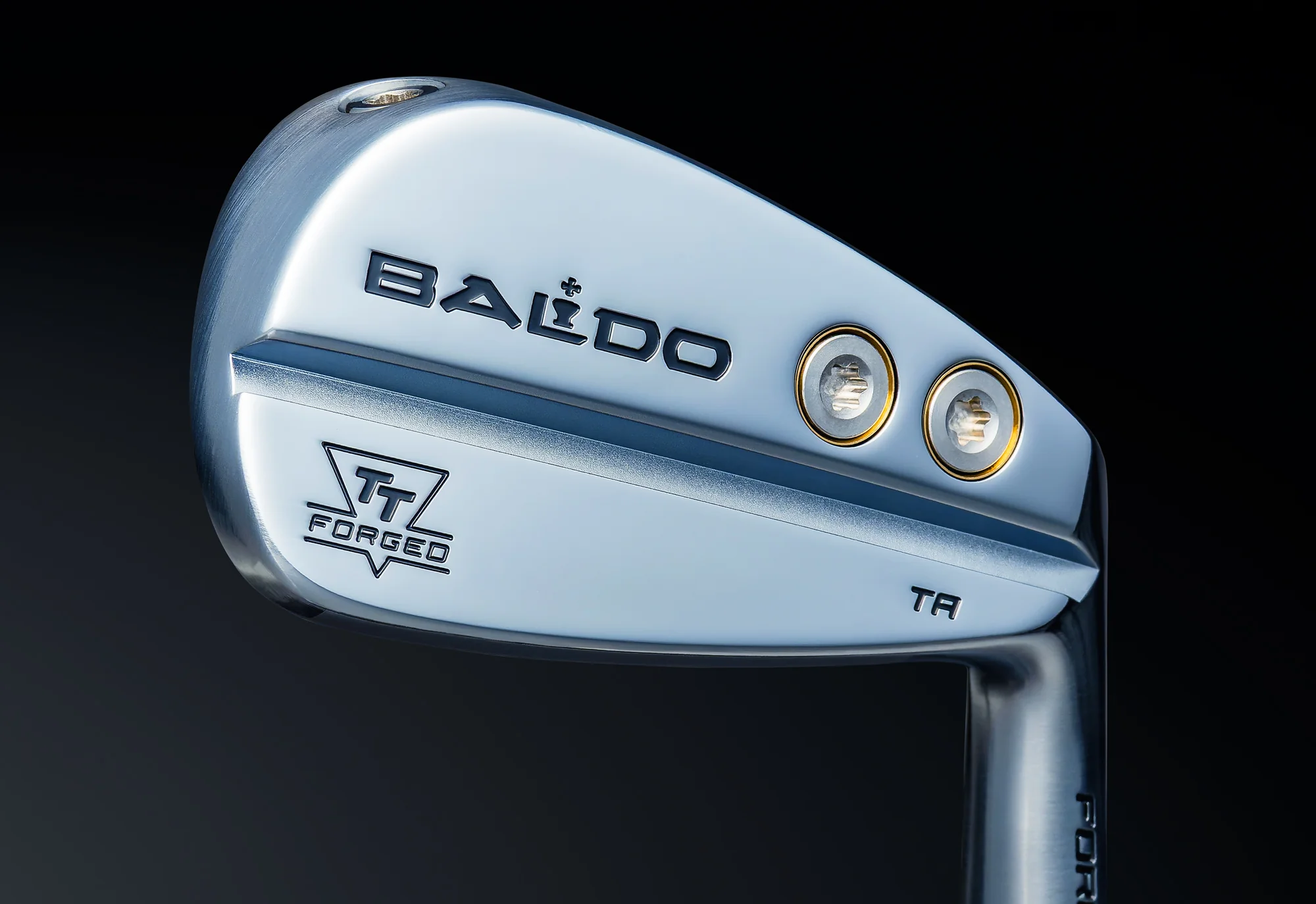 BALDO TT FORGED TOUR AIR IRON TA SET バルド - 画像 (3)