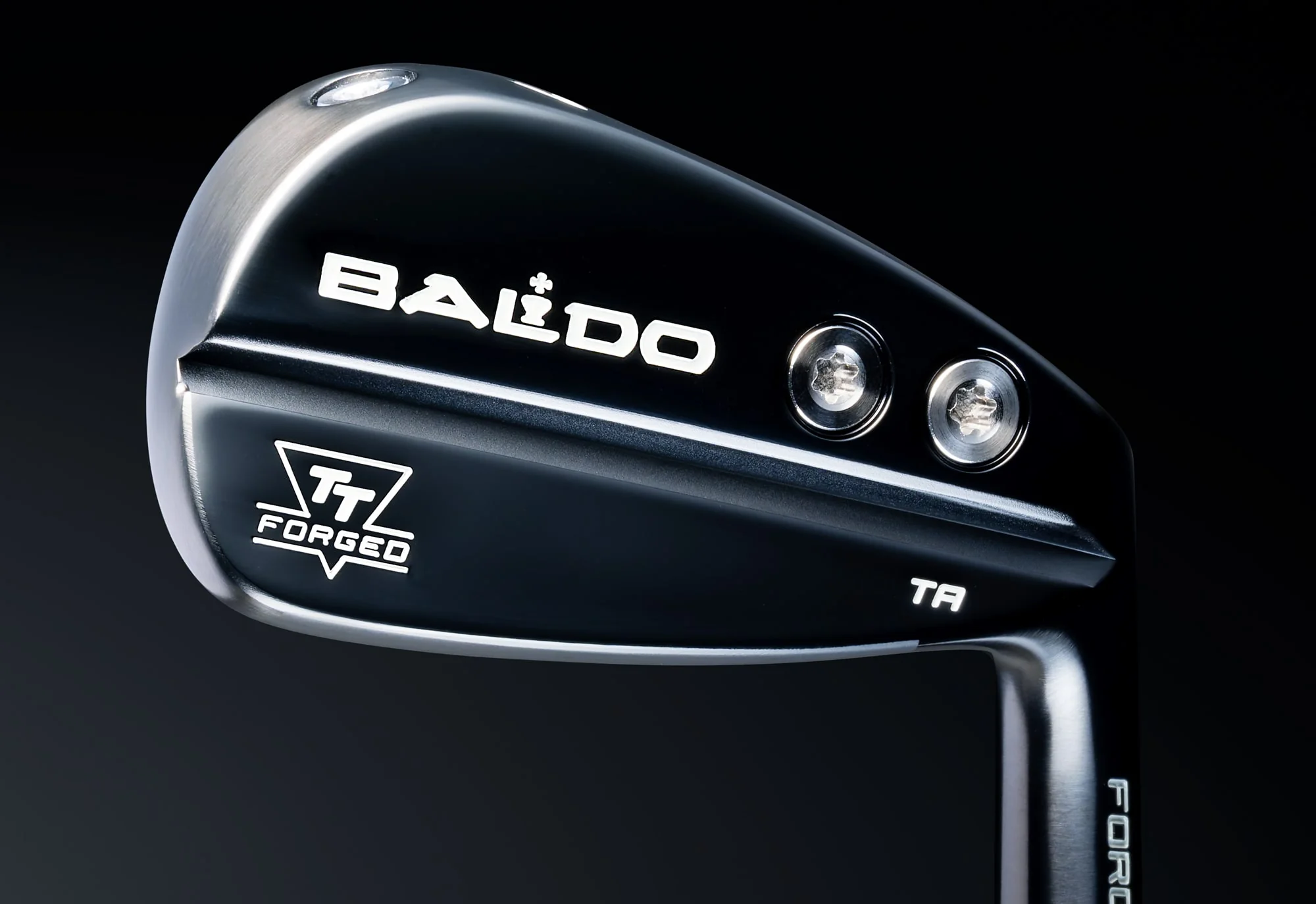 BALDO TT FORGED TOUR AIR IRON TA SET バルド - 画像 (4)